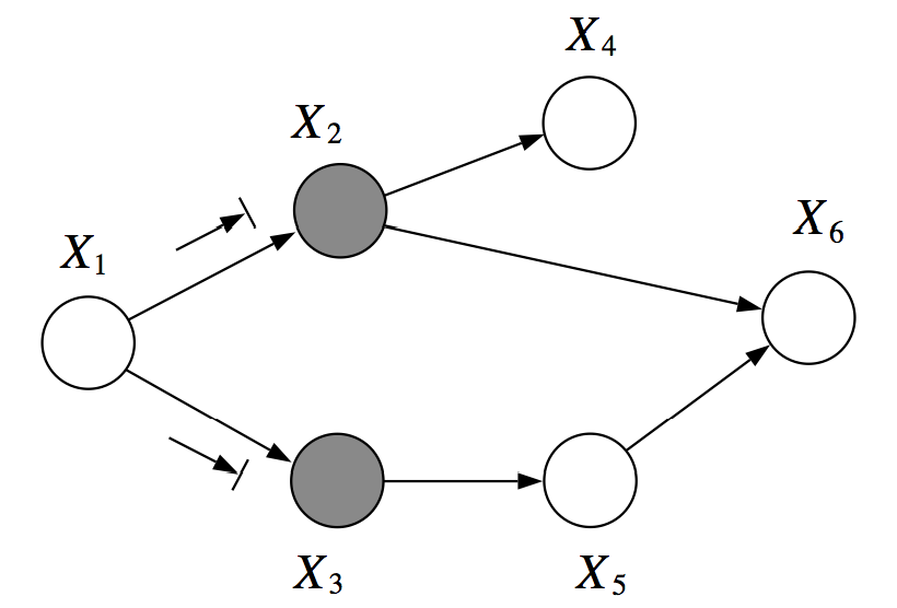 d-separated graph